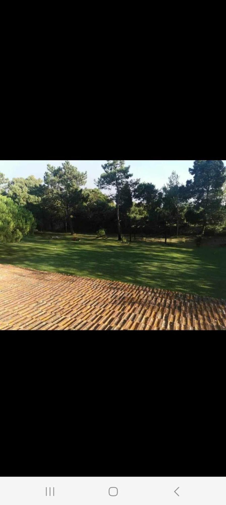 Villa T1 Na Casa Da Quinta S Jose Praia de Mira Exterior foto